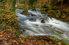 Cascade
