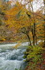 Rivière 