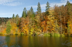 Paysage automnale