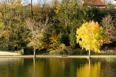L'automne