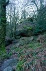 DSC 3976