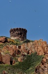 Tour de guet
