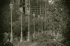 Bord de Seine